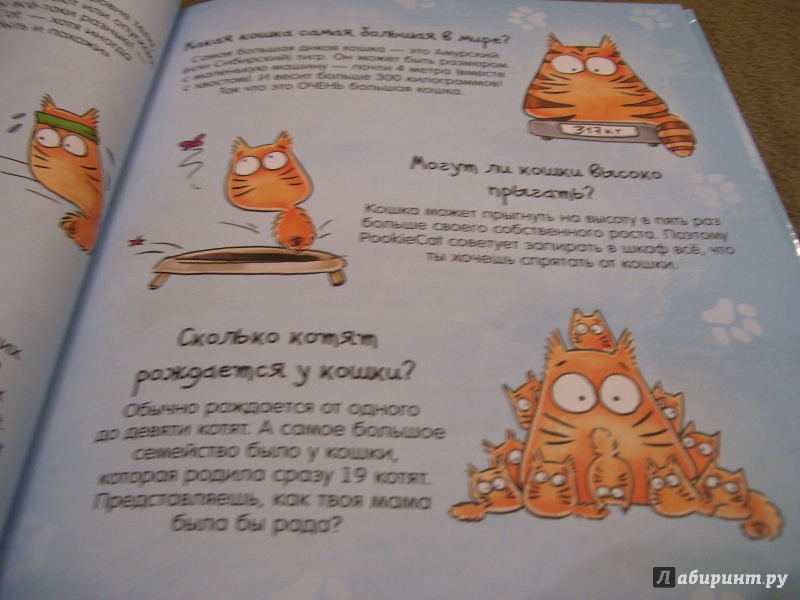 Иллюстрация 20 из 28 для Почему кот мурлычет и ещё 100 ответов на детские "почему" про кошек от PookieCat - Брюгген Ван | Лабиринт - книги. Источник: КошкаПолосатая