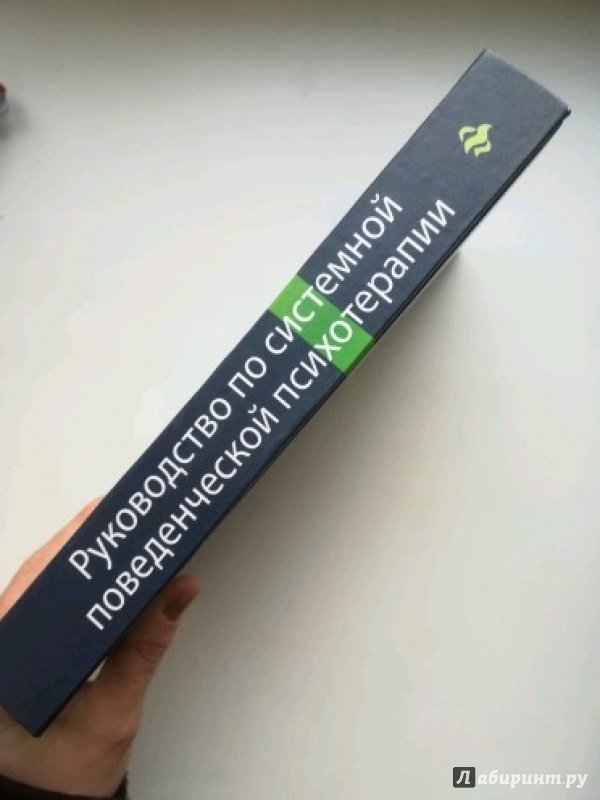 Иллюстрация 29 из 34 для Руководство по системной поведенческой психотерапии - Курпатов, Аверьянов | Лабиринт - книги. Источник: Черенова  Юлия