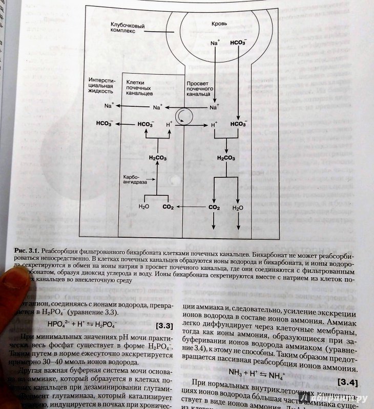 Иллюстрация 26 из 28 для Клиническая биохимия - Маршалл, Бангерт | Лабиринт - книги. Источник: Савчук Ирина