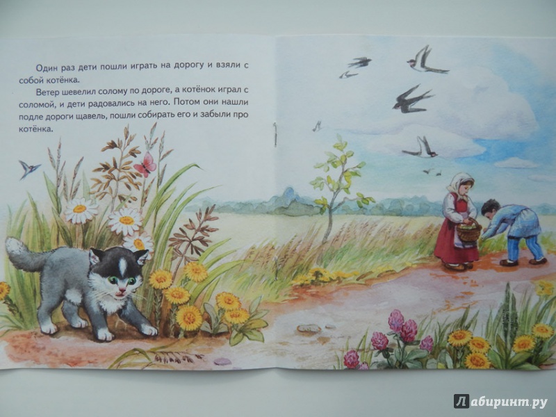 Иллюстрация 12 из 36 для Котёнок - Лев Толстой | Лабиринт - книги. Источник: Мелкова  Оксана