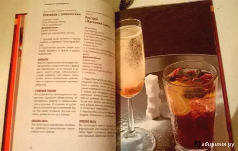 Иллюстрация 3 из 4 для 50 рецептов коктейлей и напитков. От простого до изысканного - Адам, Хассенбейн | Лабиринт - книги. Источник: Костина Анастасия