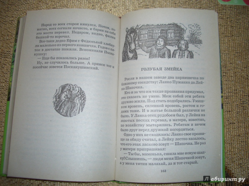 Иллюстрация 7 из 7 для Малахитовая шкатулка - Павел Бажов | Лабиринт - книги. Источник: BlackStar