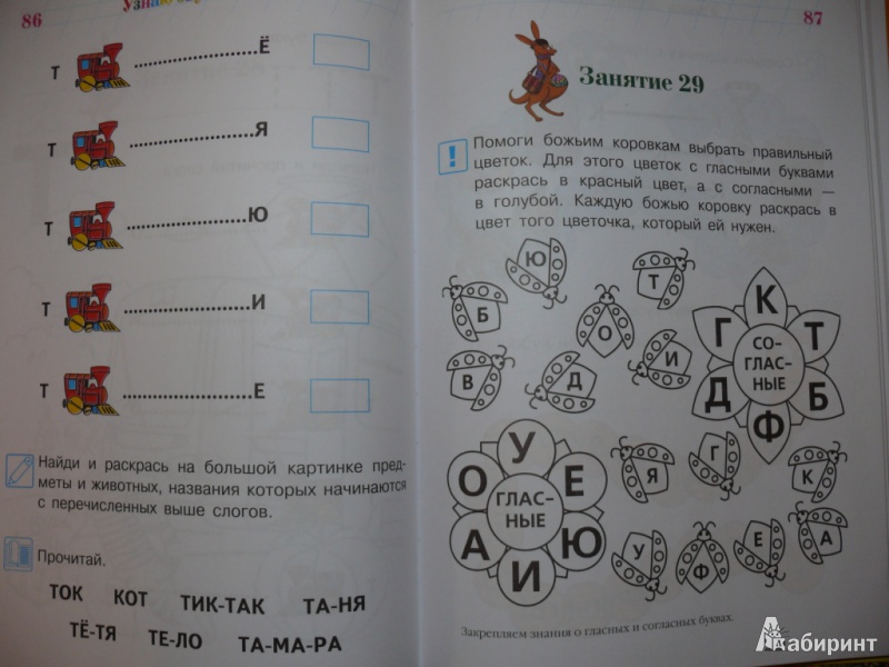 Иллюстрация 23 из 51 для Узнаю звуки и буквы. Для одаренных детей 4-5 лет - Светлана Пятак | Лабиринт - книги. Источник: ЛаринаТатьяна