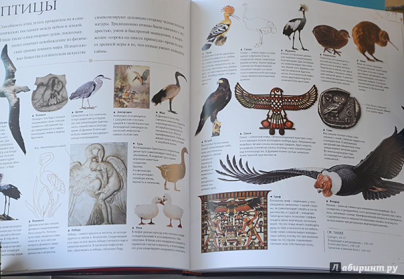Иллюстрация 7 из 44 для Знаки и символы | Лабиринт - книги. Источник: Солненые зайцы