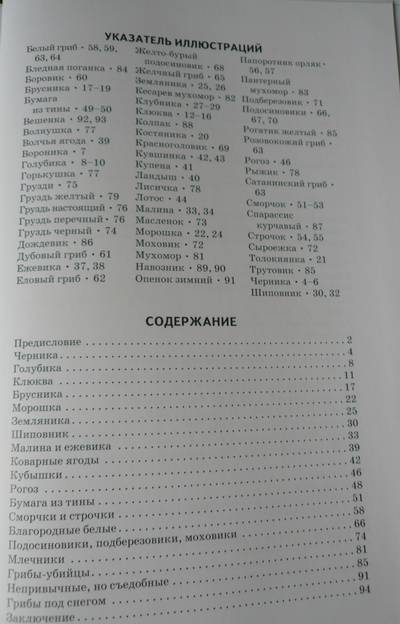 Иллюстрация 27 из 30 для Грибы и ягоды - Сергей Афонькин | Лабиринт - книги. Источник: Nadezhda_S