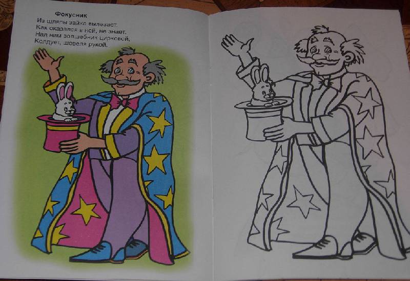 Иллюстрация 4 из 5 для Огни цирка - Скребцова, Лопатина | Лабиринт - книги. Источник: Iwolga