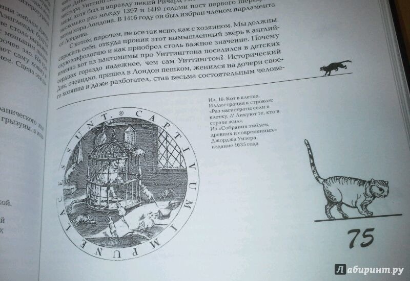 Иллюстрация 4 из 37 для Эти мистические кошки - Фред Геттингс | Лабиринт - книги. Источник: Космос