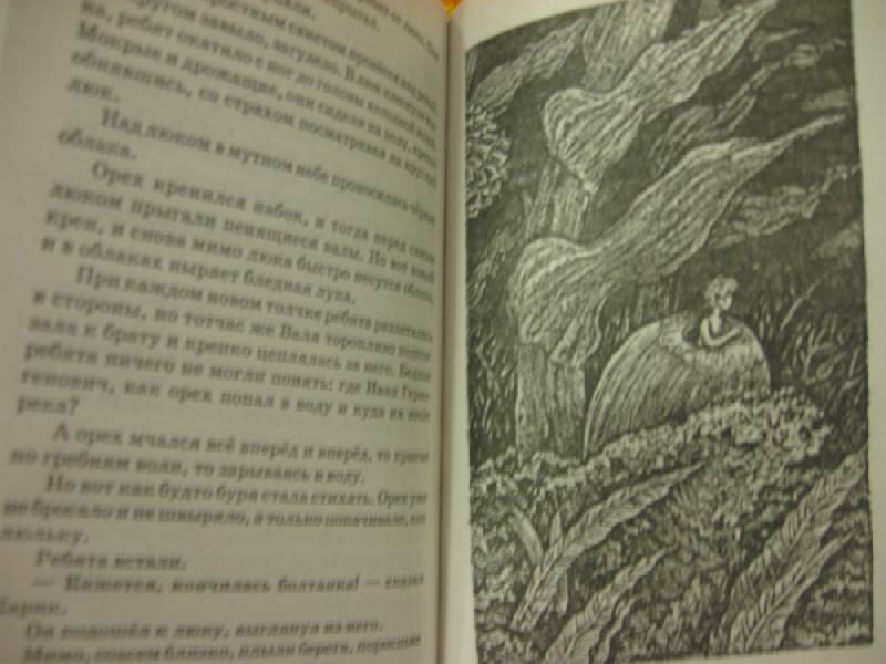Иллюстрация 9 из 34 для Необыкновенные приключения Карика и Вали - Ян Ларри | Лабиринт - книги. Источник: Indol
