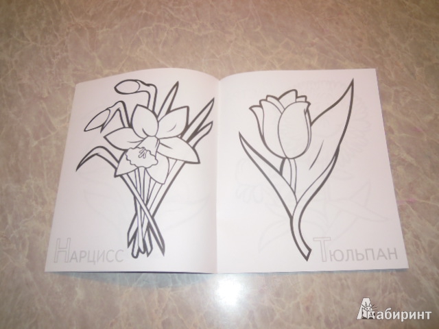 Иллюстрация 10 из 12 для Забавные садовые цветы | Лабиринт - книги. Источник: Iwolga