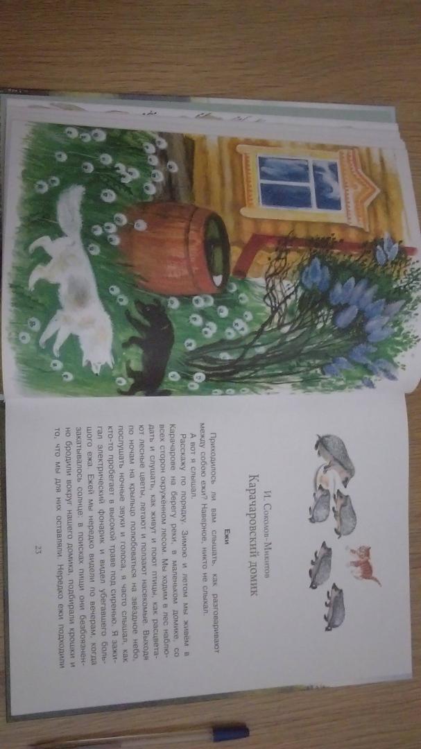 Иллюстрация 99 из 134 для Рассказы о природе для детей - Коваль, Скребицкий, Соколов-Микитов | Лабиринт - книги. Источник: Лабиринт