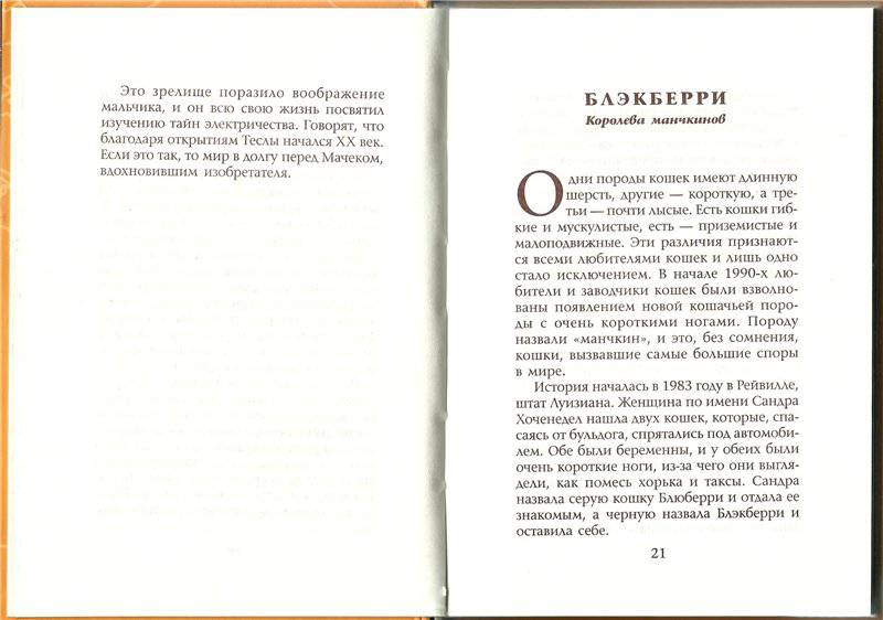 Иллюстрация 9 из 10 для 100 кошек,которые изменили цивилизацию - Сэм Столл | Лабиринт - книги. Источник: Попова  Ольга Викторовна