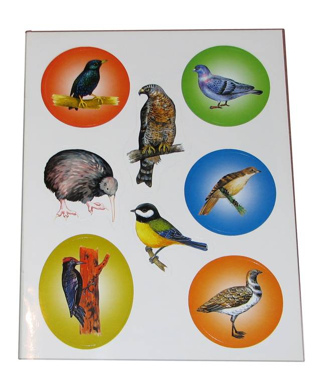 Иллюстрация 1 из 2 для В мире птиц - Юрий Гурин | Лабиринт - книги. Источник: *Мария*