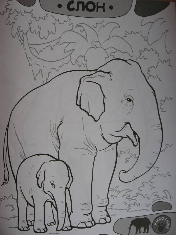 Иллюстрация 11 из 15 для Я учусь рисовать! Животные | Лабиринт - книги. Источник: Юта