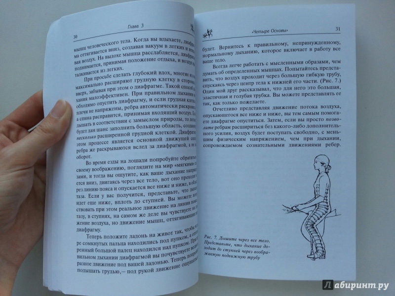 Иллюстрация 12 из 19 для Как достичь совершенства в верховой езде. Навыки центрированной верховой езды - Салли Свифт | Лабиринт - книги. Источник: VALERIYA