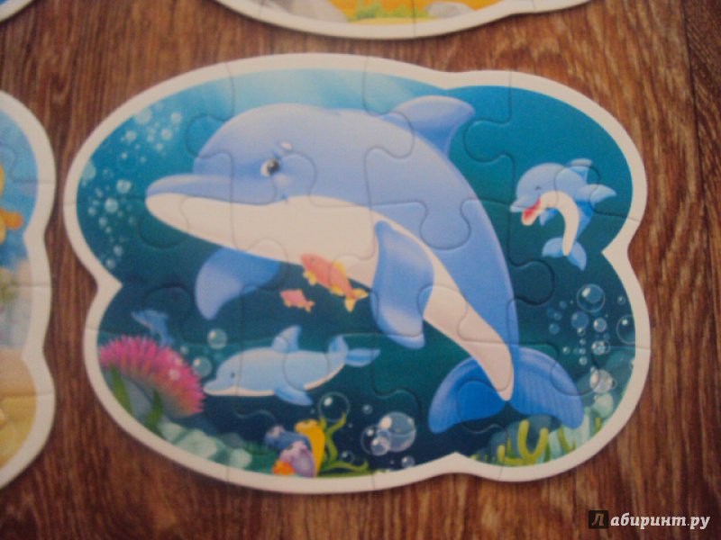 Иллюстрация 8 из 27 для Puzzle-8х12х15х20 "Подводный мир" (В-043026) | Лабиринт - игрушки. Источник: Redkat