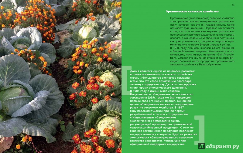 Иллюстрация 14 из 19 для Быть или не быть... Опыт датского органического сельского хозяйства - Боллесен Древес | Лабиринт - книги. Источник: Лабиринт