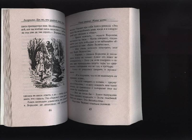 Иллюстрация 4 из 9 для Зазеркалье: Про то, что увидела там Алиса - Льюис Кэрролл | Лабиринт - книги. Источник: Романтик-Негодяй