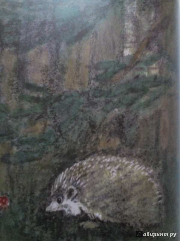 Иллюстрация 34 из 106 для Синие листья - Валентина Осеева | Лабиринт - книги. Источник: Klementinchen