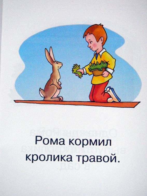 Иллюстрация 11 из 17 для У Ромы рос кролик | Лабиринт - книги. Источник: АннаЛ