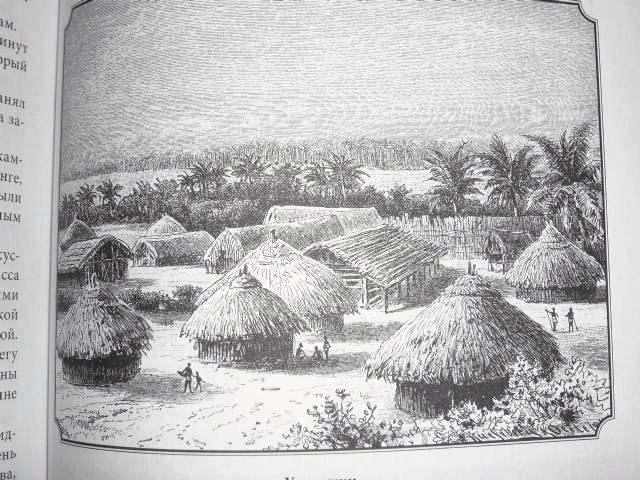 Иллюстрация 9 из 40 для Дневники исследователя Африки - Давид Ливингстон | Лабиринт - книги. Источник: qwips