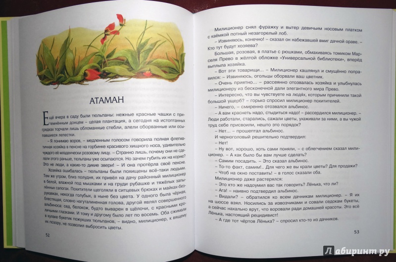Иллюстрация 31 из 38 для Рассказы для детей - Юрий Нагибин | Лабиринт - книги. Источник: nata_romina