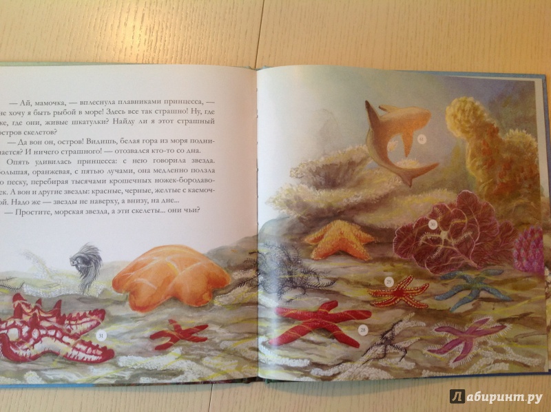 Иллюстрация 13 из 16 для Приключения принцессы-рыбки - Инна Гамазкова | Лабиринт - книги. Источник: Абуева  Екатерина