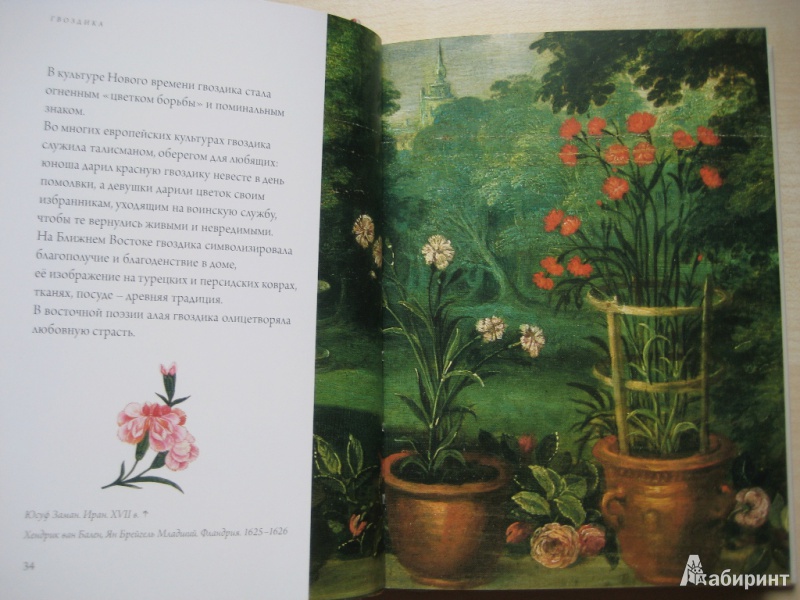 Иллюстрация 14 из 58 для Любовь к ботанике | Лабиринт - книги. Источник: Макарова  Елена