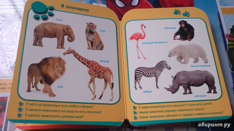 Иллюстрация 19 из 23 для Мой зоопарк. Развиваем малыша (2-3 года) | Лабиринт - книги. Источник: Mila