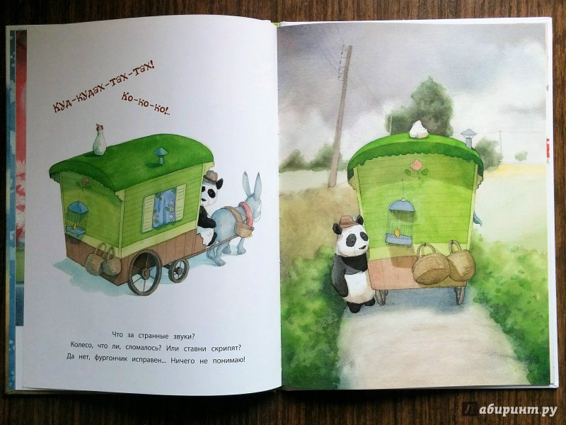 Иллюстрация 36 из 46 для Панда-бродяга - Квентин Гребан | Лабиринт - книги. Источник: Natalie Leigh