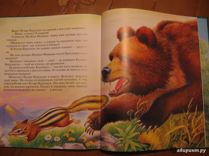 Иллюстрация 4 из 35 для Сказки о животных - Виталий Бианки | Лабиринт - книги. Источник: Фирсова  Ирина