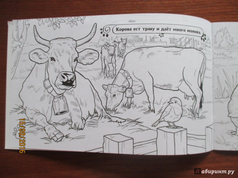 Иллюстрация 4 из 14 для На ферме | Лабиринт - книги. Источник: Марина Епифанцева