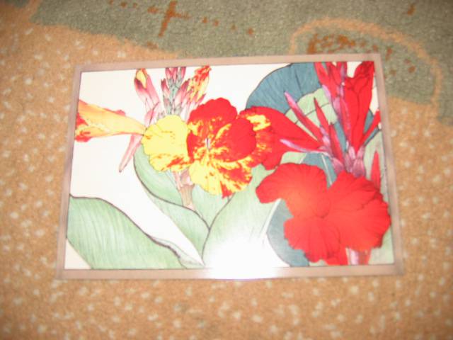 Иллюстрация 14 из 32 для Цветы Конана Танигами. На почтовых открытках | Лабиринт - сувениры. Источник: Мама Ольга