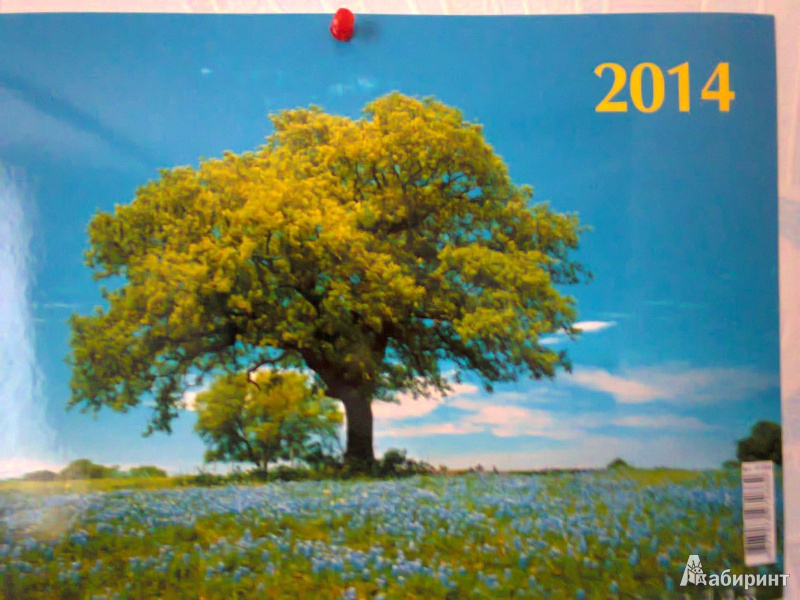 Иллюстрация 7 из 7 для Календарь на 2014 год "Ясная поляна". Квартальный (14 0004) | Лабиринт - сувениры. Источник: Sonya Summer