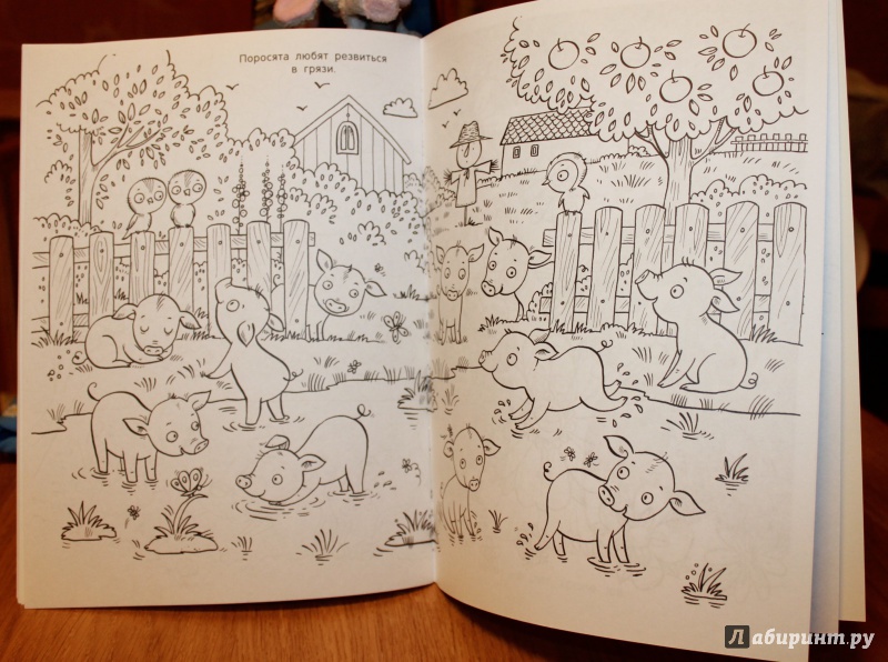 Иллюстрация 31 из 42 для Детеныши животных. Раскраска | Лабиринт - книги. Источник: александрадочь