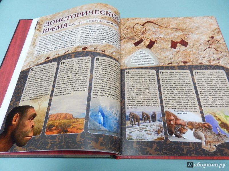 Иллюстрация 5 из 21 для Красная книга. Исчезнувшие животные Земли - Лукашанец, Лукашанец | Лабиринт - книги. Источник: dbyyb