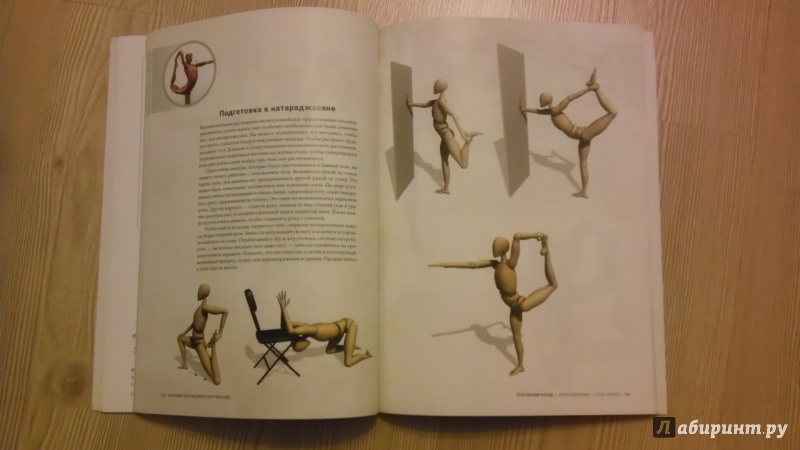 Иллюстрация 4 из 15 для Анатомия прогибаний и скручиваний - Рэй Лонг | Лабиринт - книги. Источник: Lorbeer