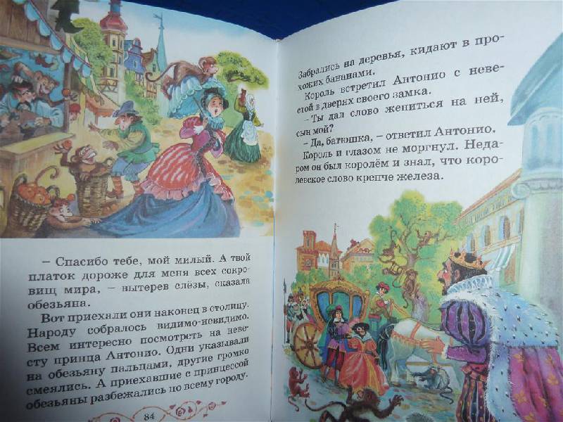 Иллюстрация 19 из 21 для Сказки о принцессах | Лабиринт - книги. Источник: Левина  Анна