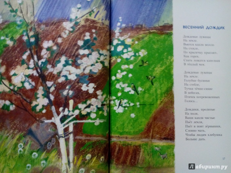 Иллюстрация 37 из 106 для Синие листья - Валентина Осеева | Лабиринт - книги. Источник: Klementinchen