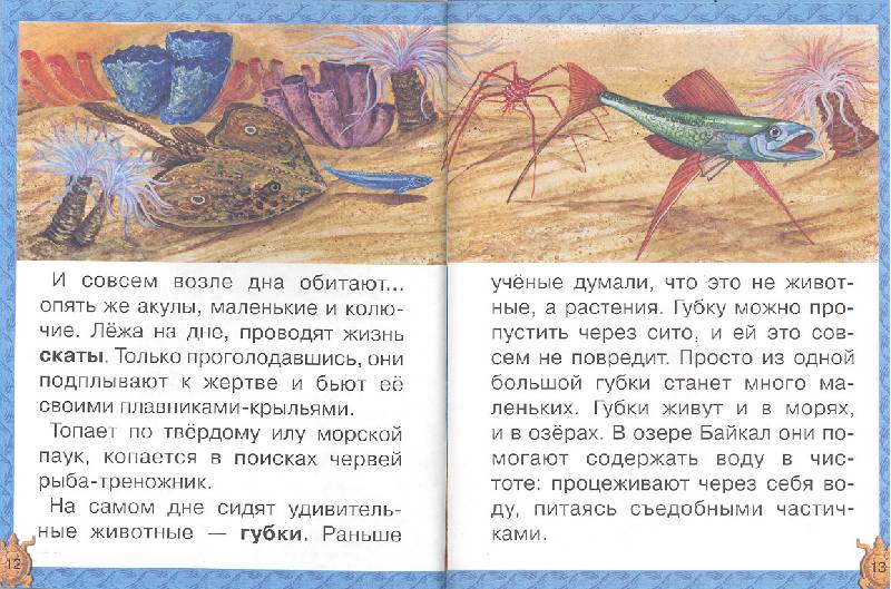 Иллюстрация 9 из 20 для Подводный мир - Ольга Колпакова | Лабиринт - книги. Источник: мамаОля