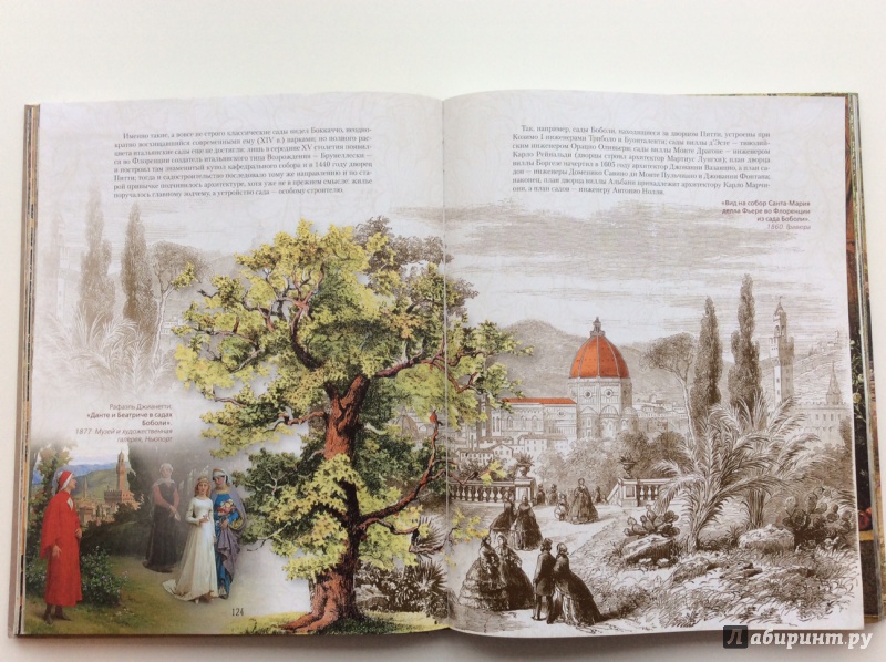 Иллюстрация 16 из 21 для Художественные сады - Арнольд Регель | Лабиринт - книги. Источник: Тася