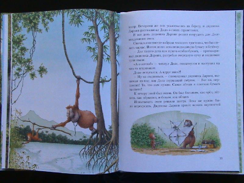 Иллюстрация 8 из 24 для Крошка Додо - Романелли, Де | Лабиринт - книги. Источник: Обычная москвичка