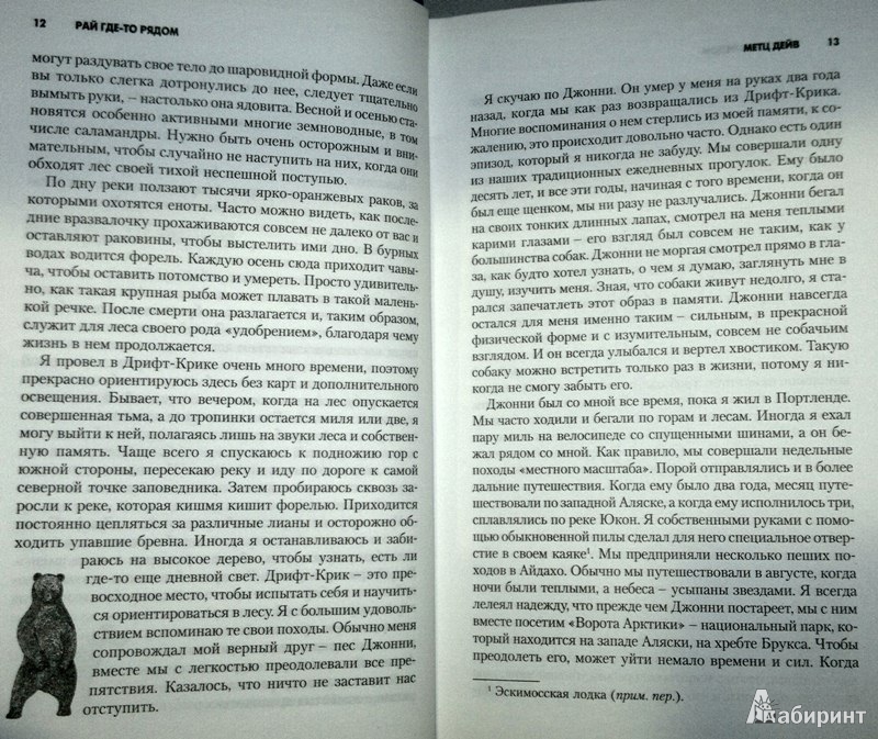 Иллюстрация 8 из 28 для Один человек, две собаки и 600 миль на краю света. Опасное путешествие за мечтой - Дейв Метц | Лабиринт - книги. Источник: Леонид Сергеев