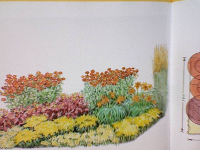 Иллюстрация 32 из 35 для Красивые цветники в вашем саду - Хельга Гроппер | Лабиринт - книги. Источник: svetl@n@