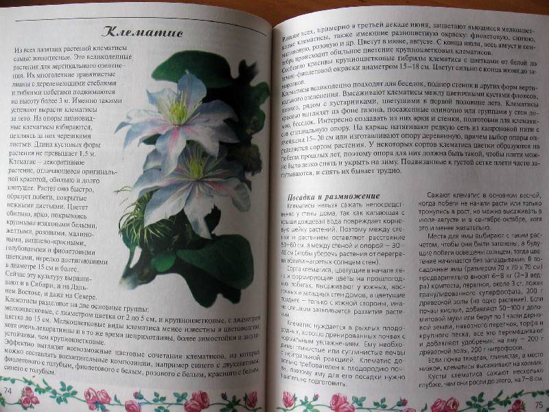 Иллюстрация 14 из 20 для Любимые цветы - Ганичкина, Ганичкин | Лабиринт - книги. Источник: Red cat ;)