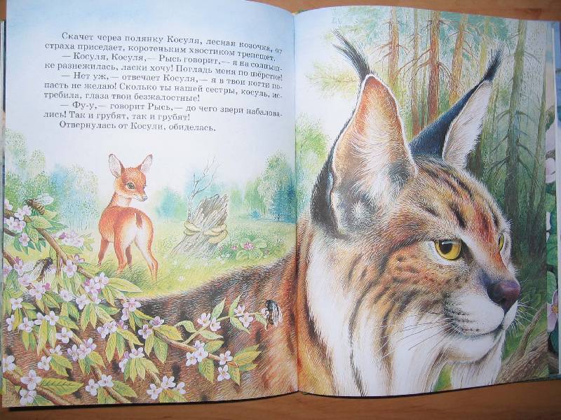 Иллюстрация 66 из 87 для Сказки о родной природе - Бианки, Сладков, Шим | Лабиринт - книги. Источник: Red cat ;)