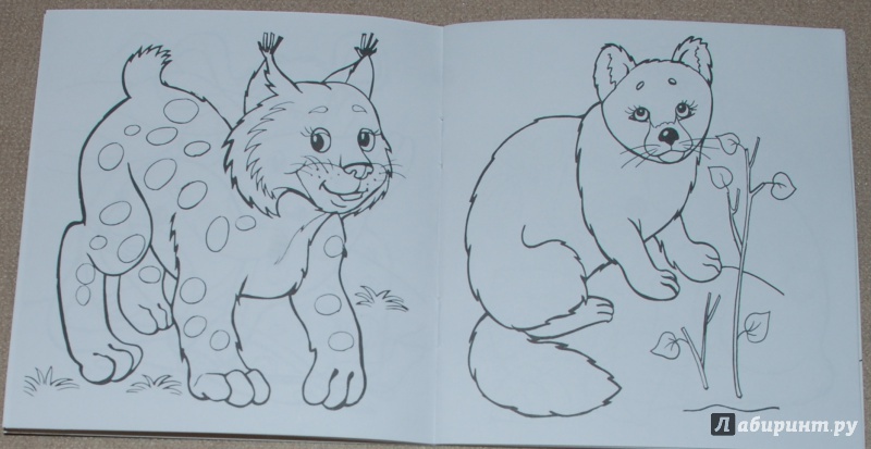 Иллюстрация 7 из 18 для Малыши | Лабиринт - книги. Источник: Книжный кот