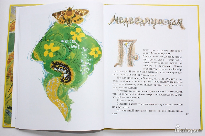 Книга зеленые страницы 2 класс первые бабочки. Ю Коваль бабочка. Коваль бабочки книга. Коваль бабочка 1 класс.