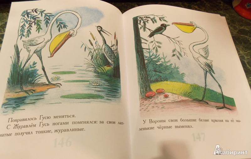 Иллюстрация 25 из 69 для Сказки и картинки - Владимир Сутеев | Лабиринт - книги. Источник: Sweet mama