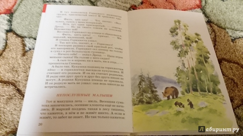 Иллюстрация 3 из 9 для Лесные сказки - Николай Сладков | Лабиринт - книги. Источник: Васина  Светлана Григорьевна