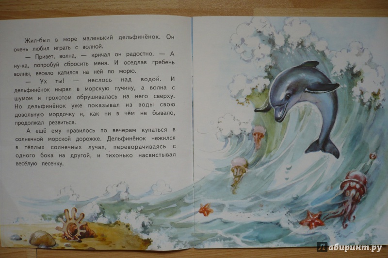 Иллюстрация 9 из 16 для Дельфиненок и чайка - Елена Ермолова | Лабиринт - книги. Источник: Астанина  Олеся